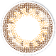 耀金 Vivid Gold